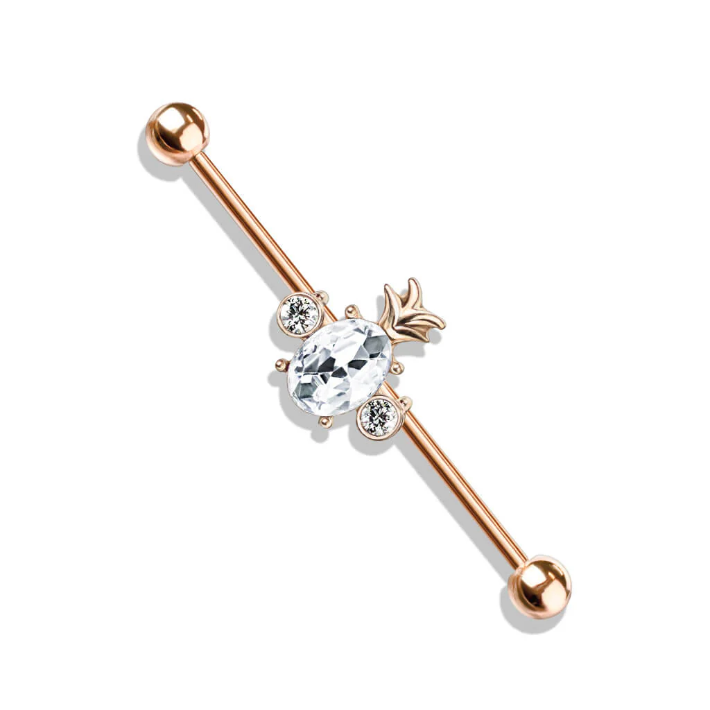 Industrial Barbell Ananas Zirkonia - Image 8