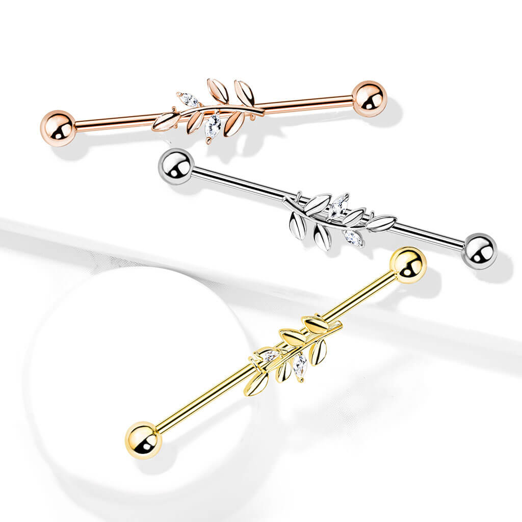 Industrial Barbell Zweig Zirkonia - Image 6