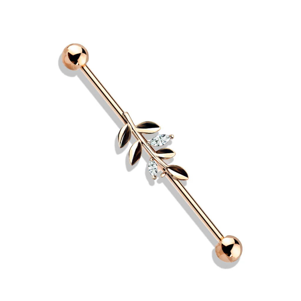 Industrial Barbell Zweig Zirkonia - Image 7
