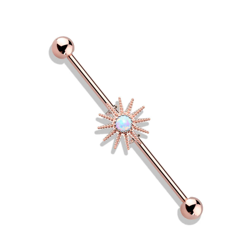 Industrial Barbell Sonne Zirkonia - Image 9