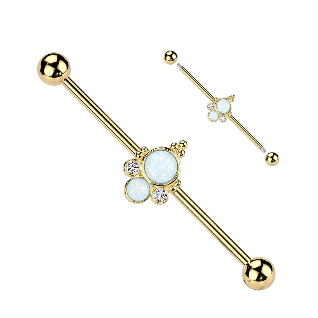 Industrial Barbell Test - Image 3