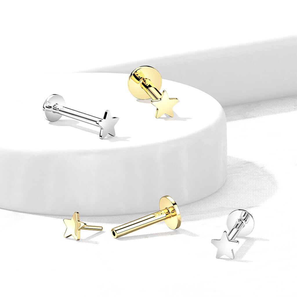 14 Karat Gold Labret Stern Flach Gelbgold Weißgold Push-In - Image 5