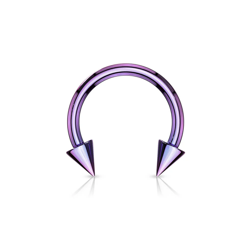 Hufeisen Piercing Regenbogen Stachel Titan PVD - Image 7
