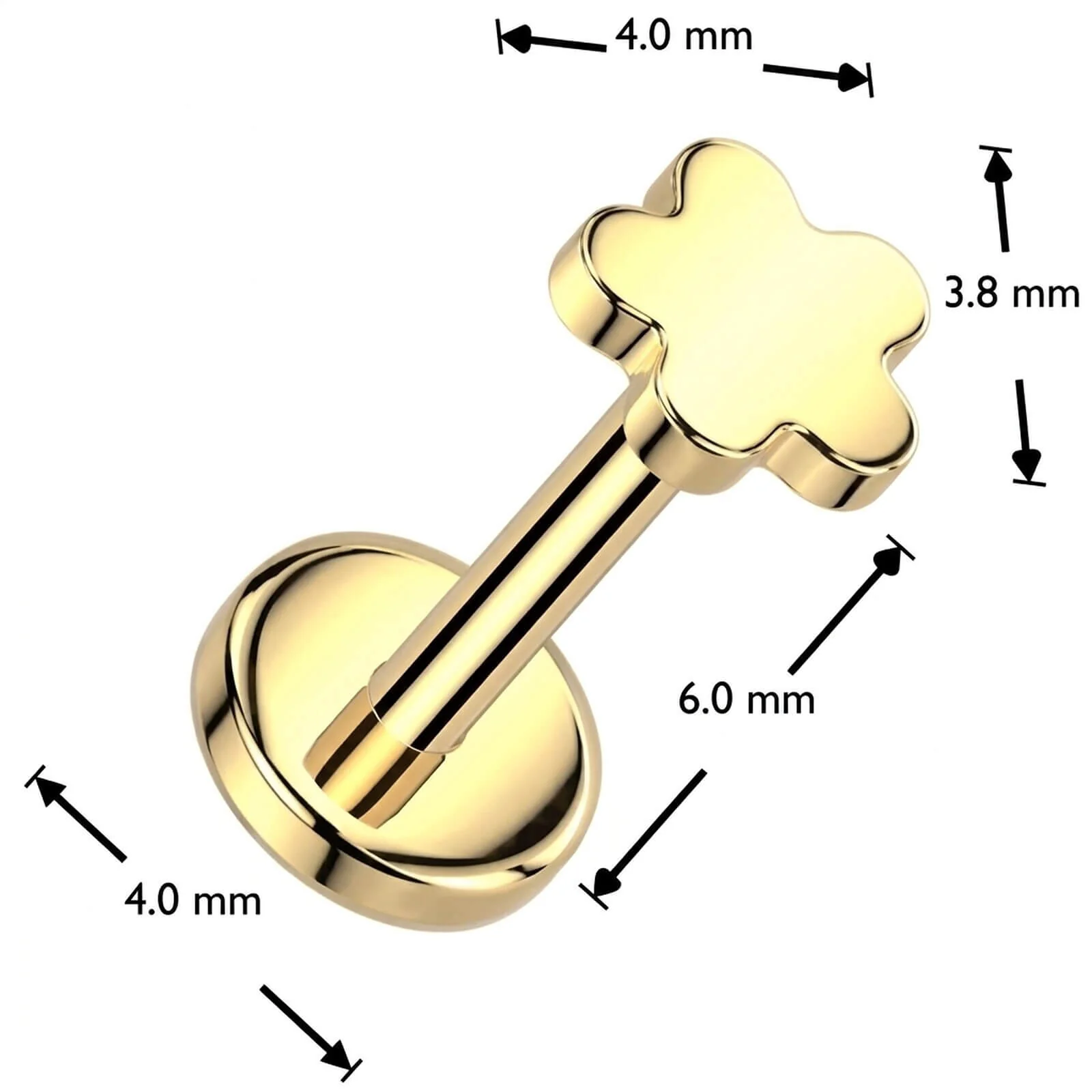 Titan Labret Blume Push-In - Image 4
