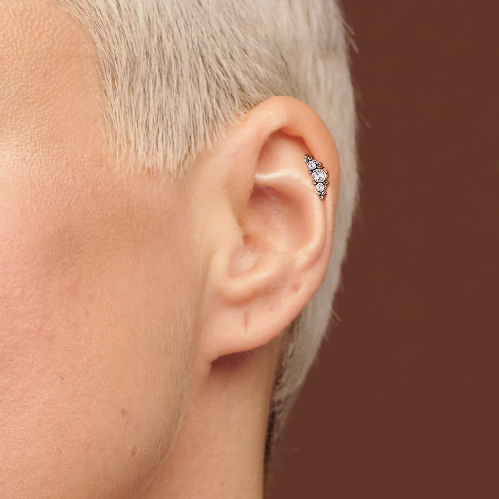Titan Barbell 3 Zirkonia Silber Push-In - Image 7