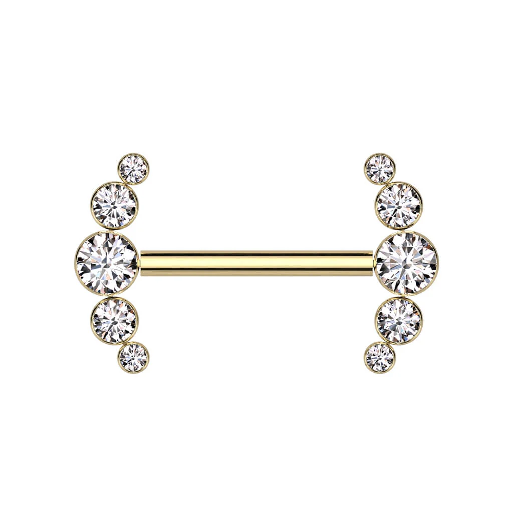 Titan Nippelpiercing 5 Zirkonia Push-In - Image 4