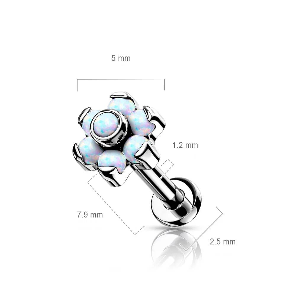Titan Labret Blume Opal Silber Push-In - Image 9