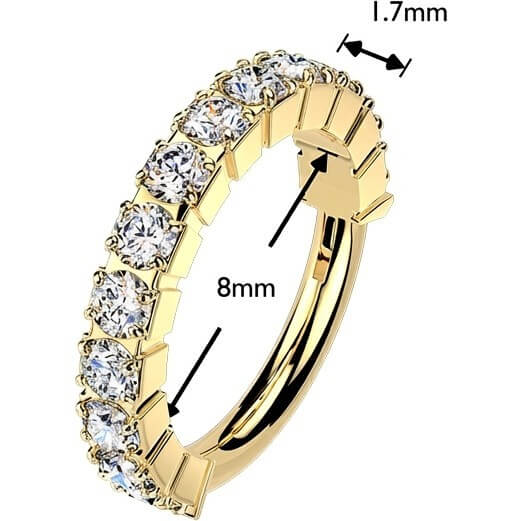 Titan Ring nach außen gerichteter Pave Moissanit Clicker - Image 2