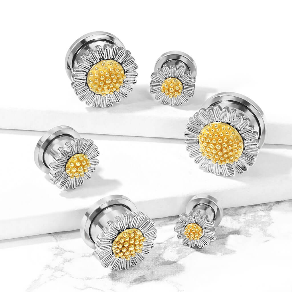 Plug Sonnenblume - Image 4