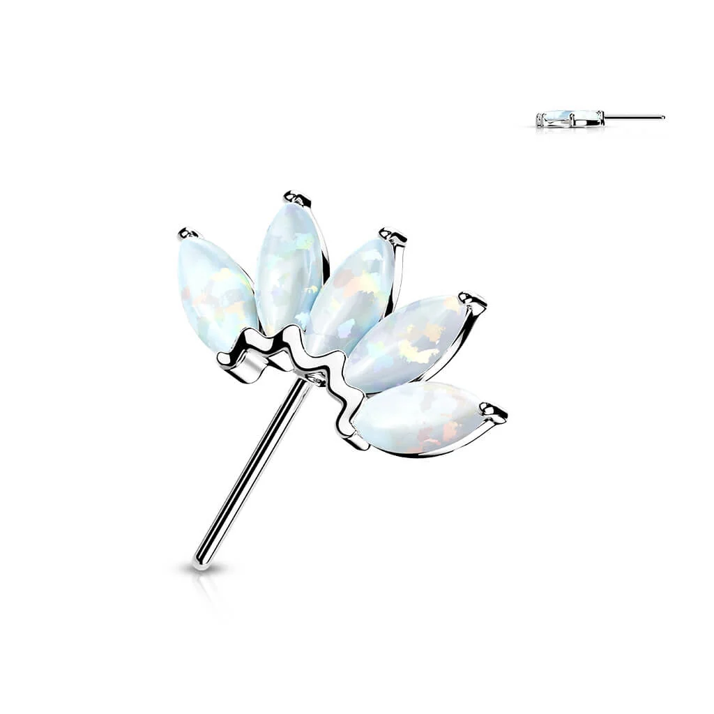 14 Karat Gold Top 5 Opal Gelbgold Weißgold Push-In - Image 3