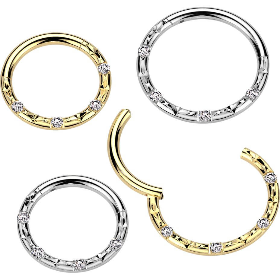 Titan Ring 4 Zirkonia Facettenschliffe Clicker - Image 2