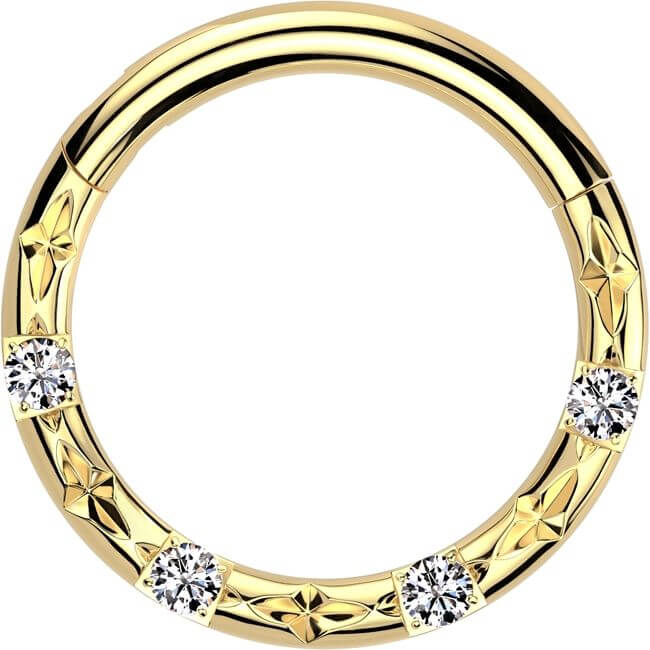 Titan Ring 4 Zirkonia Facettenschliffe Clicker - Image 3