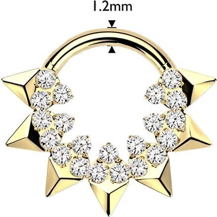 Titan Ring Spikes und rund Zirkonia Clicker - Image 2