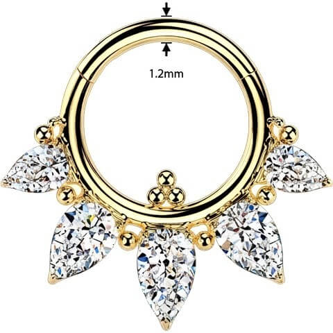Titan Ring 5 Zirkonias Kugeln Clicker - Image 2