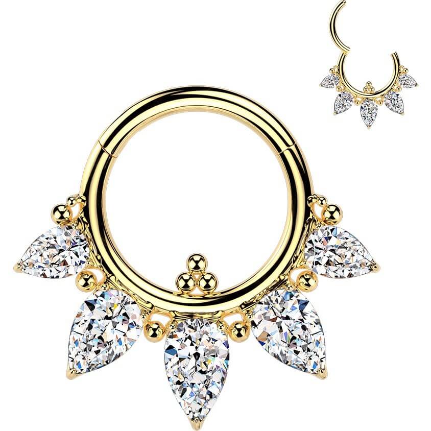 Titan Ring 5 Zirkonias Kugeln Clicker - Image 3