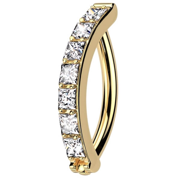 Titan Ring Zirkonia Pavefassung Clicker - Image 6