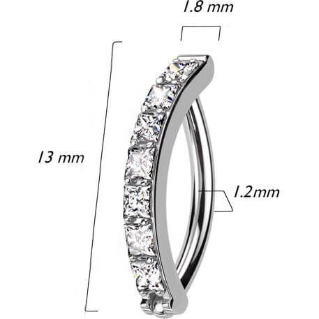 Titan Ring Zirkonia Pavefassung Clicker - Image 8