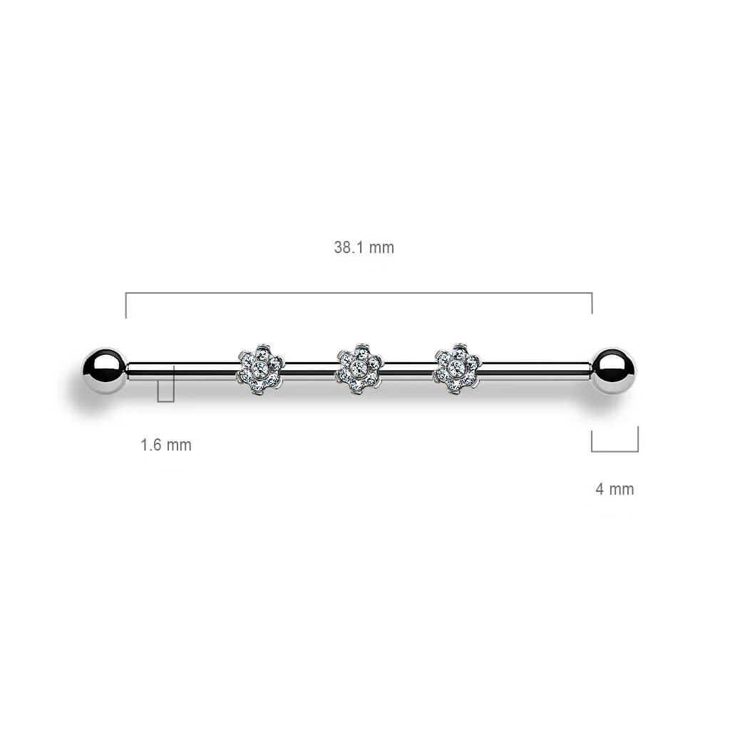 Titan Industrial Barbell 3 Blumen Aufsätze Zirkonia Innengewinde - Image 2