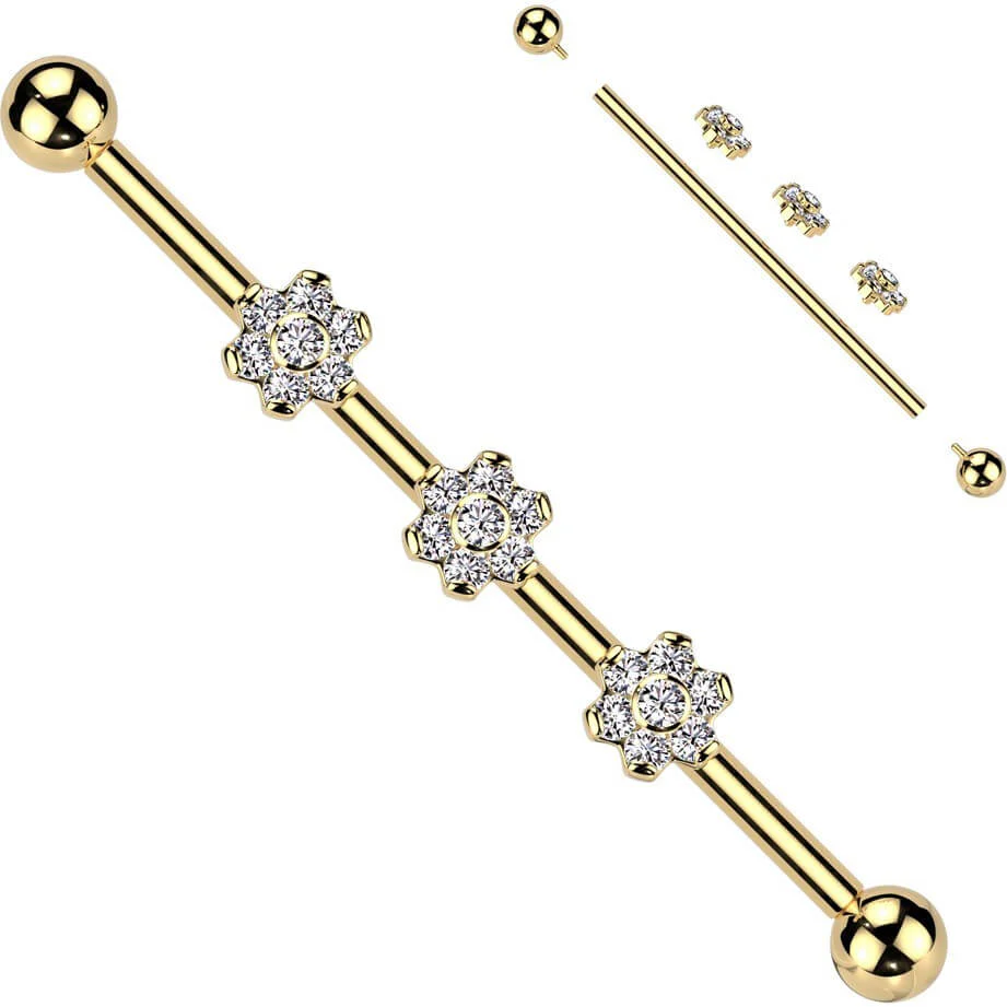 Titan Industrial Barbell 3 Blumen Aufsätze Zirkonia Innengewinde - Image 5