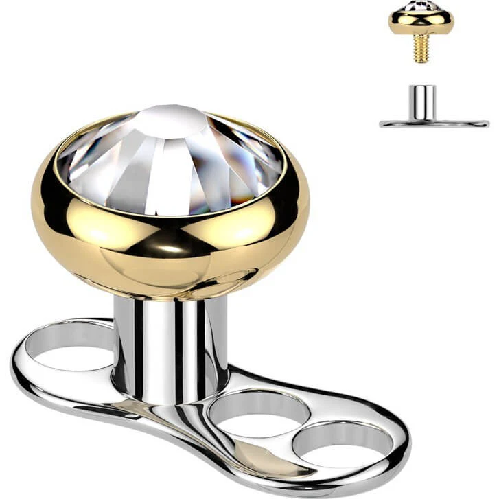 Titan Dermal Anchor Zirkonia Flach Gewinde 2mm Innengewinde - Image 8