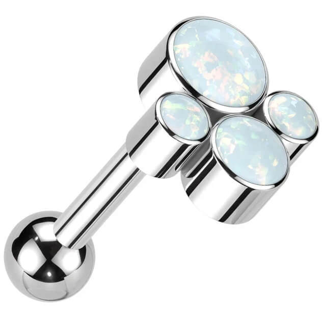 Titan Barbell Opal Zargenfassung Innengewinde - Image 3