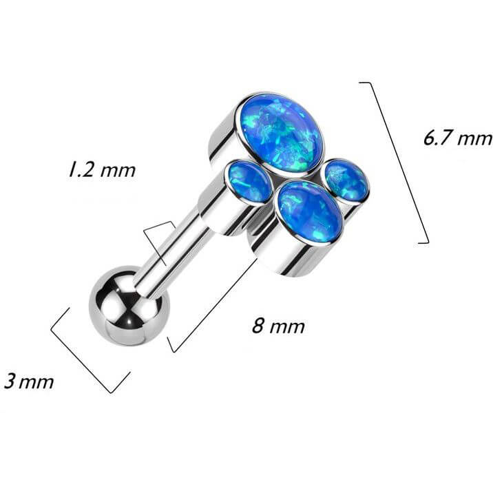 Titan Barbell Opal Zargenfassung Innengewinde - Image 5