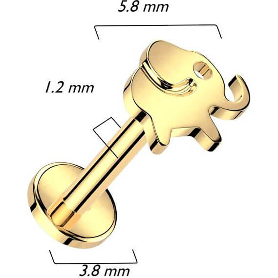 Titan Labret Elefant Innengewinde - Image 4