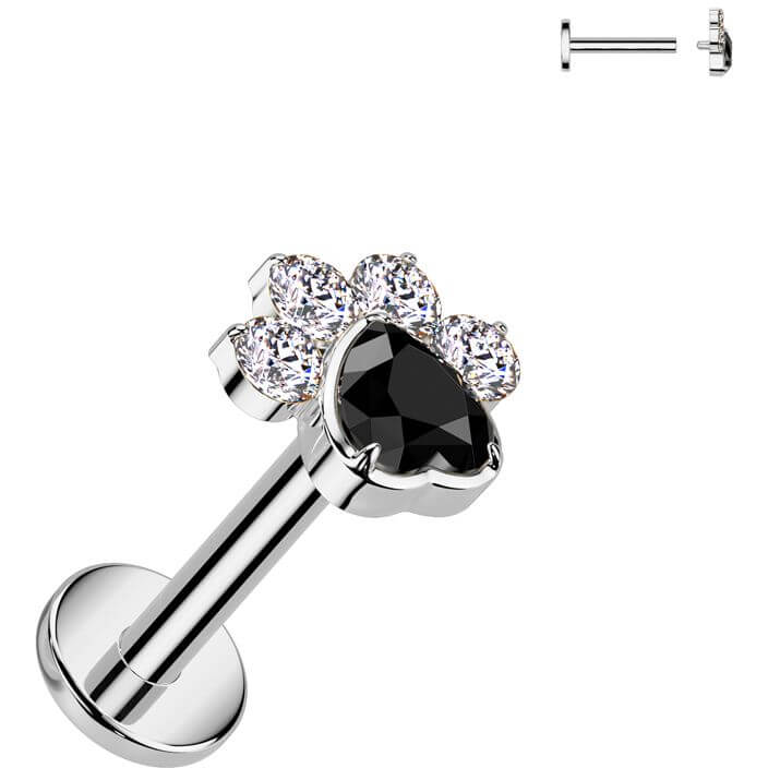 Titan Labret Pfote Zirkonia Innengewinde - Image 4