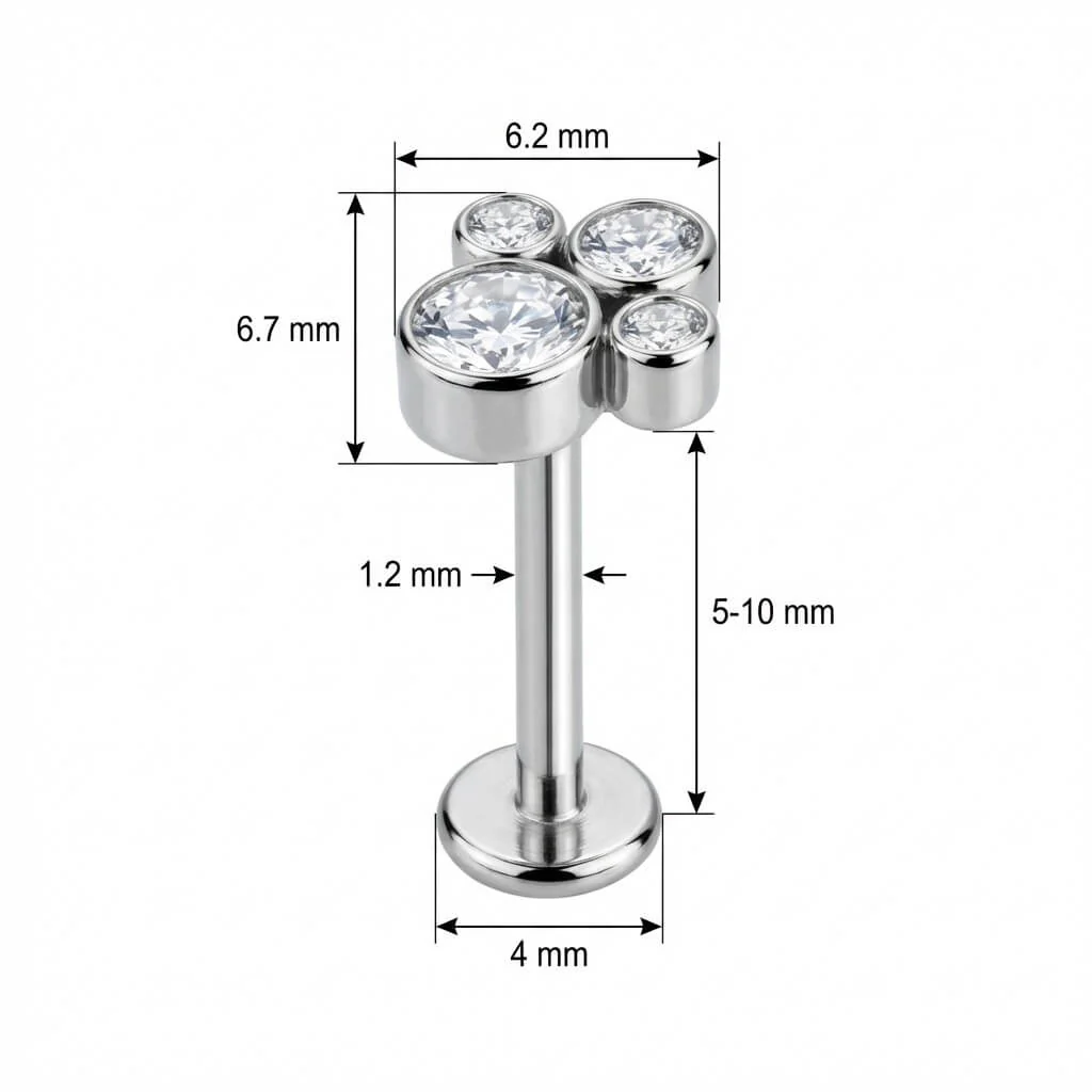 Titan Labret Glitzerndes Pfotenabdruck Design Innengewinde - Image 2